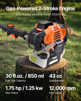 VEVOR Motosierra de Pértiga a Gasolina, Motosierra Inalámbrica de 43 cc y 2 Tiempos con Barra de Corte de 25,4 cm, Tanque de Combustible de 850 ml y Extensible de 2,08-3,58 m para Podar Árboles