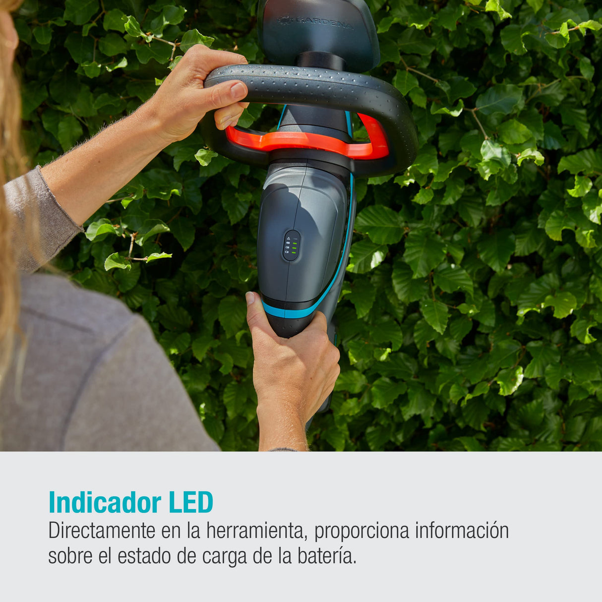 Gardena Set Ready-To-Use de cortasetos a batería ComfortCut 60 18V P4A: cortasetos con mango ergonómico y protección antiimpactos, ligero para un mejor manejo, incluye batería P4A de 18V (14731-20)