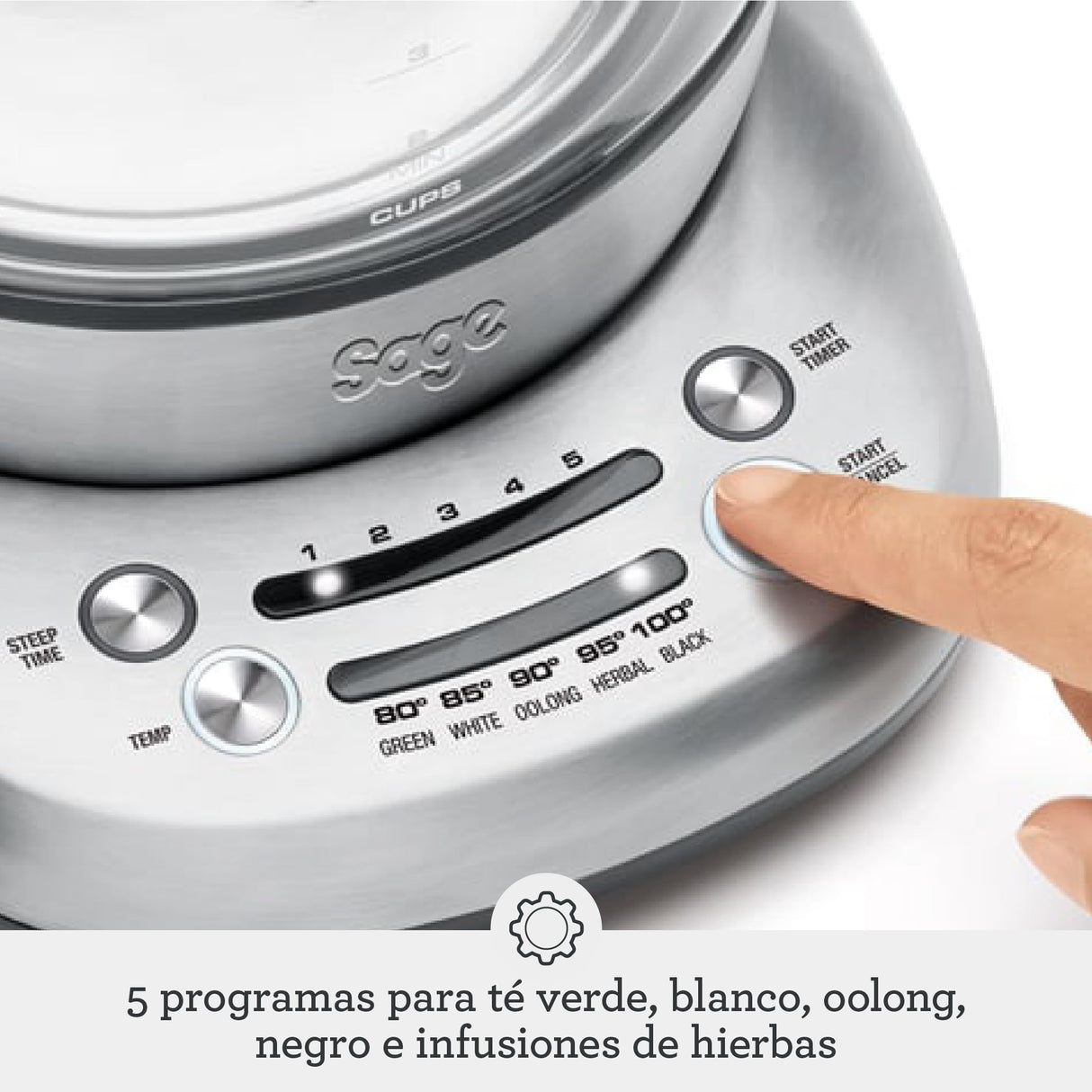 the Sage Smart Tea Infuser C