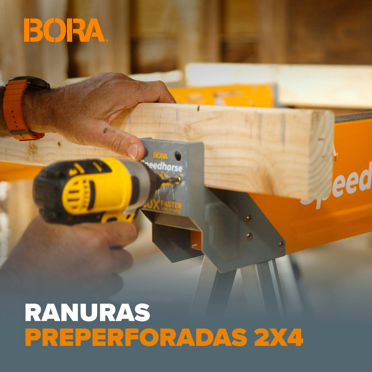 BORA Portamate Speedhorse XT PM-4550T - Par de caballetes de caballete de 30 a 36 pulgadas de altura, parte superior de metal para 2 x 4, caballo de sierra de banco profesional resistente para