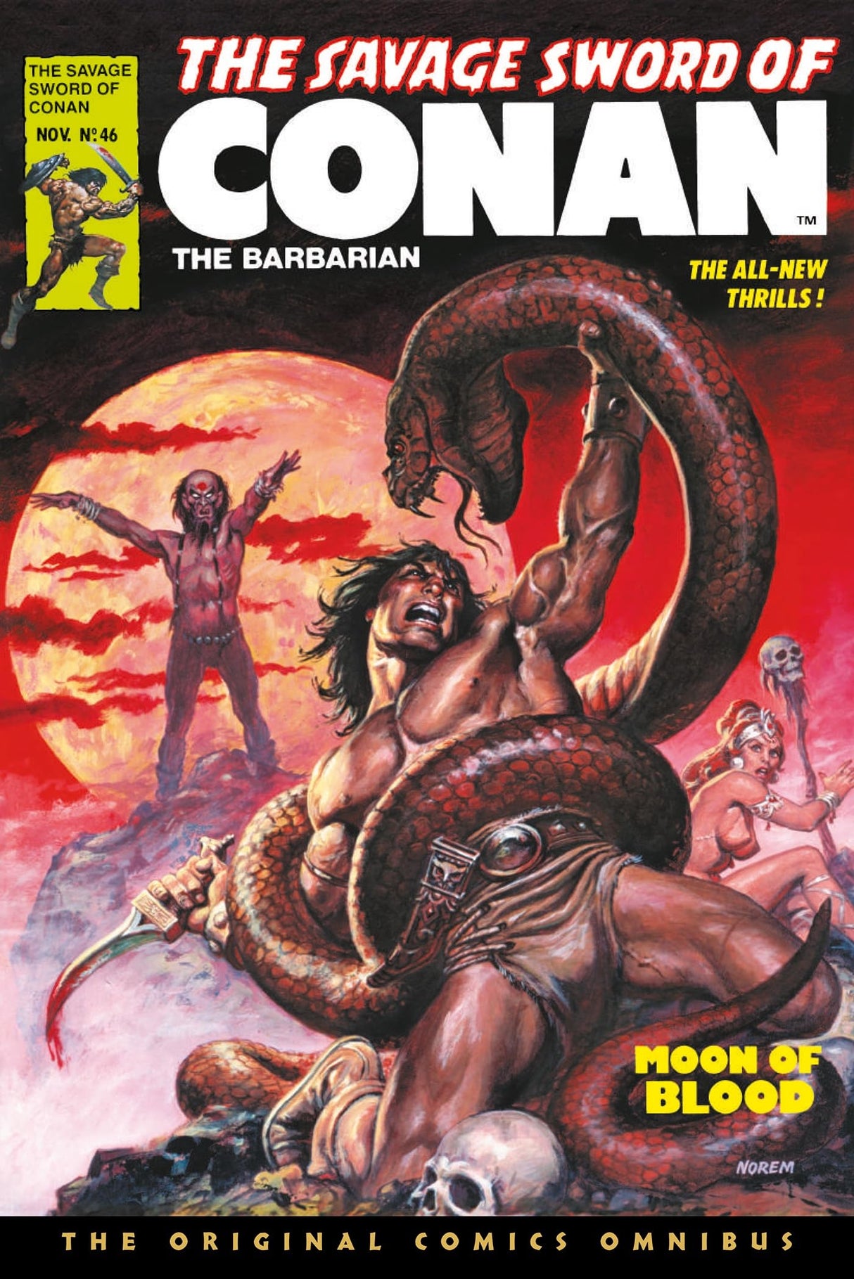 SAVAGE SWORD OF CONAN ORIG OMNIBUS REG 04 (The Savage Sword of Conan: The Original Comics Omnibus)