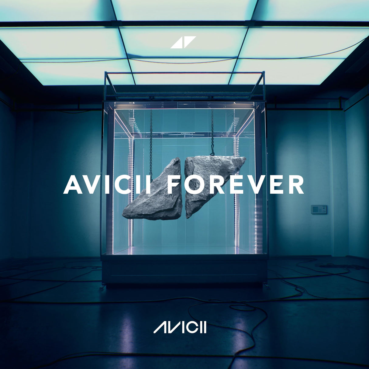 Avicii Forever [Vinilo]