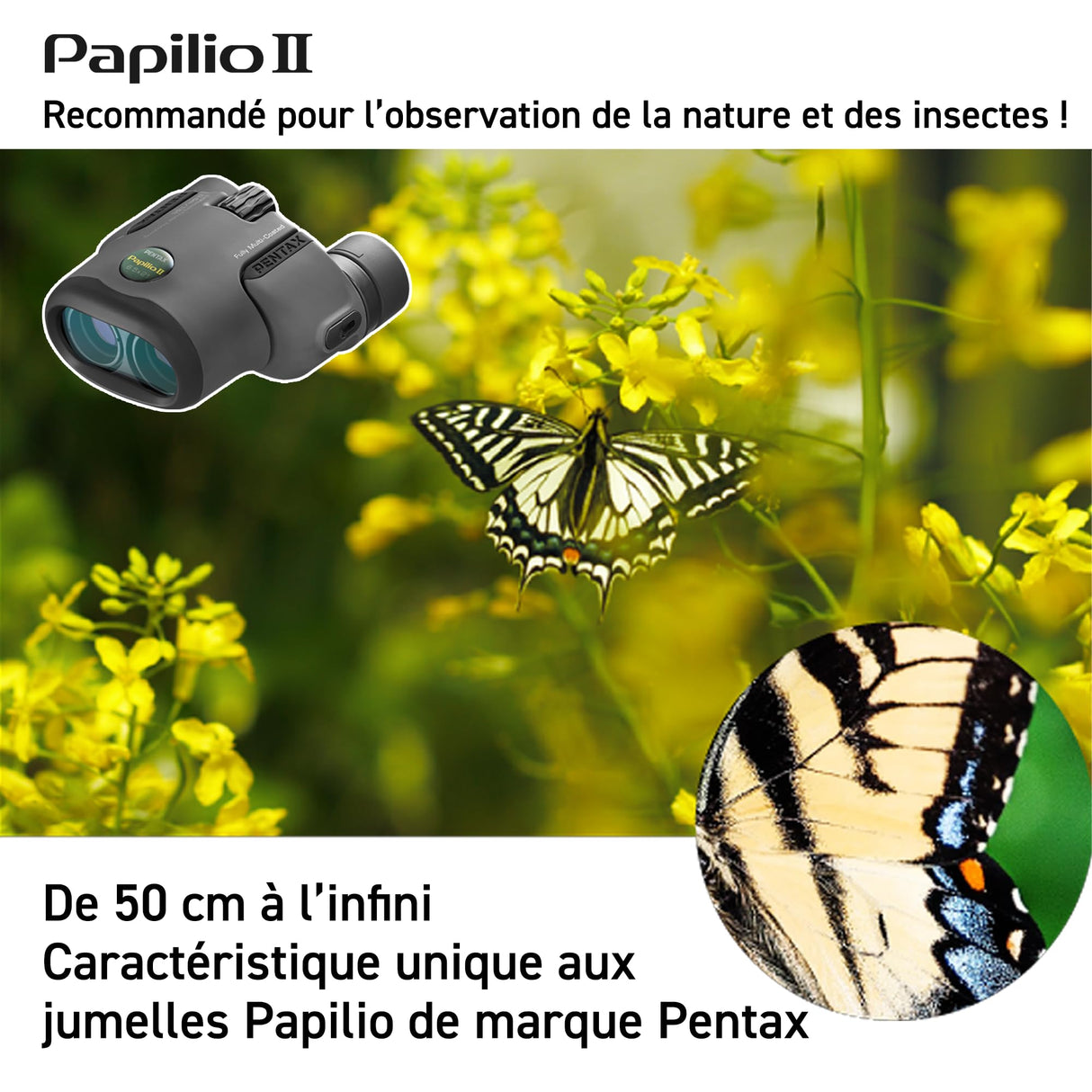 Pentax Papillo II – Prismáticos Up (con Funda, Color Negro
