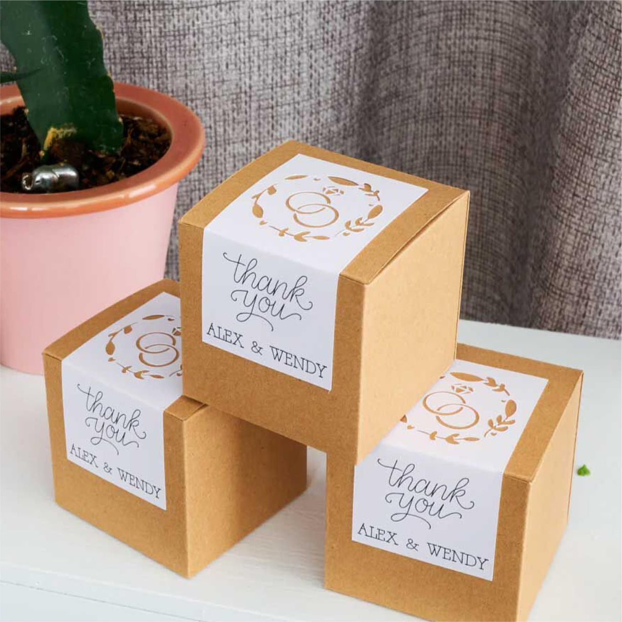 Cricut Joy | Paquete de inicio (2023)