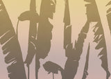 Komar WTD - Papel pintado fotográfico (350 x 250 cm), diseño de plátanos de Bahama