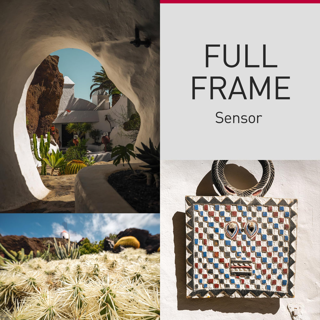 Panasonic Lumix DC-S9NE-R Cámara para Vlog con Fotograma Completo y Puerta Abierta sin Espejo, 24,2 MP, Vídeo 6K/4K, PDAF de 779 Puntos, WiFi 5 GHz, Rojo, con S-R1840 18-40mm S Lente De Cámara