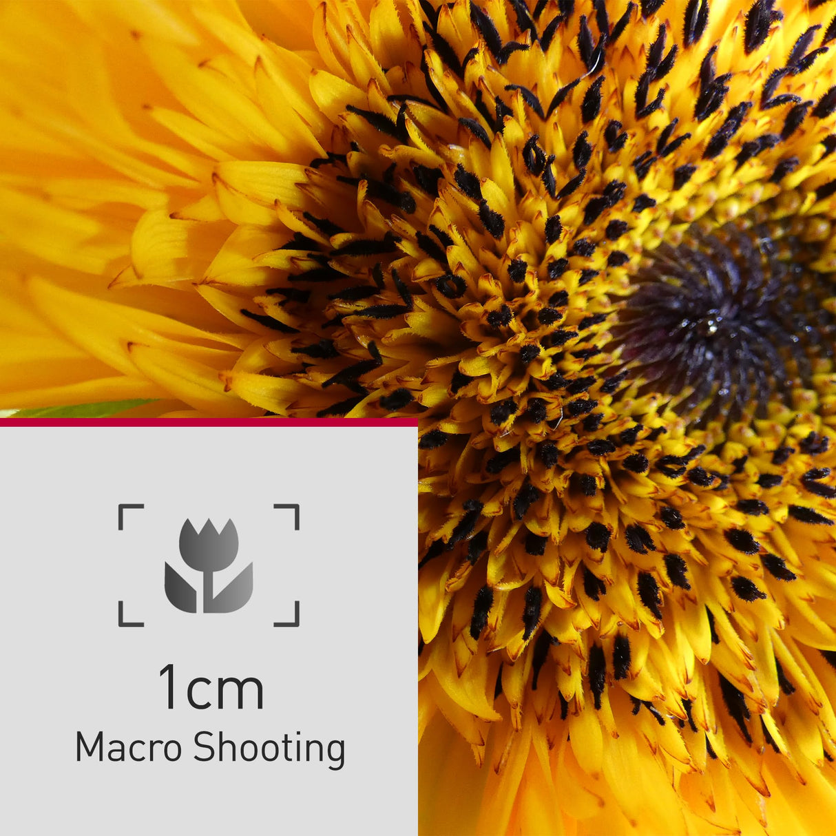 Panasonic Lumix DC-FZ82DE-K Cámara Bridge con Lente 20-1200 mm F2.8-5.9, 18,1 MP, Video y Fotografía 4K, Visor Live View OLED, Pantalla Táctil LCD, USB-C, Color Negro