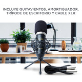 Marantz Professional MPM-1000: micrófono de estudio de condensador XLR con soporte de escritorio y cable para podcasts, streaming, canto, teletrabajo y juegos