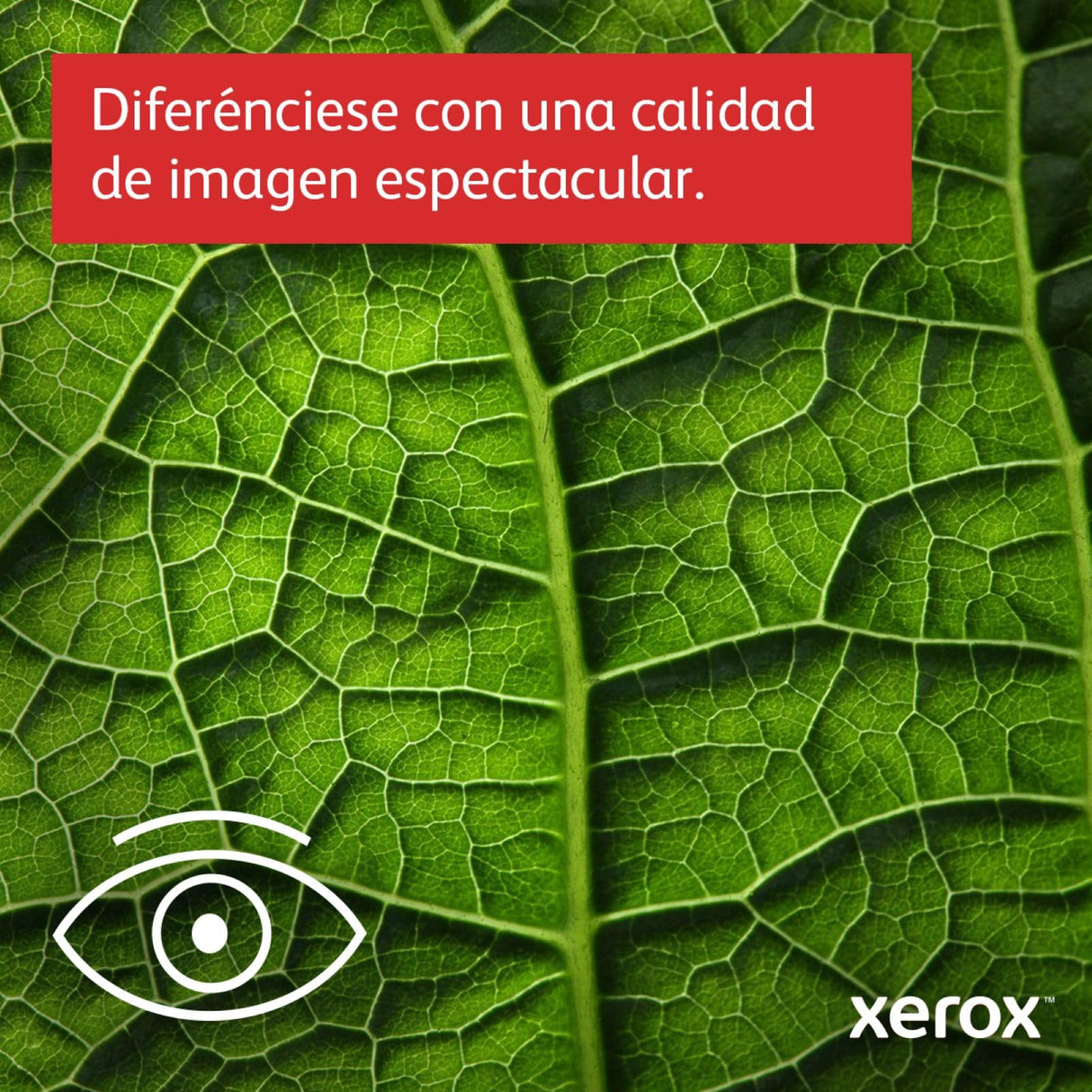 Xerox C415dn A4 40ppm Impresora Láser Multifunción con Impresión Dúplex - Impresión/Escaneo/Copia/fax - Todo en Uno