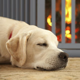 Relaxdays Barrera Seguridad Niños, Valla Protectora, Puerta, 92x206cm, Plegable, Cerca Protección Bebés, Perros, Gris