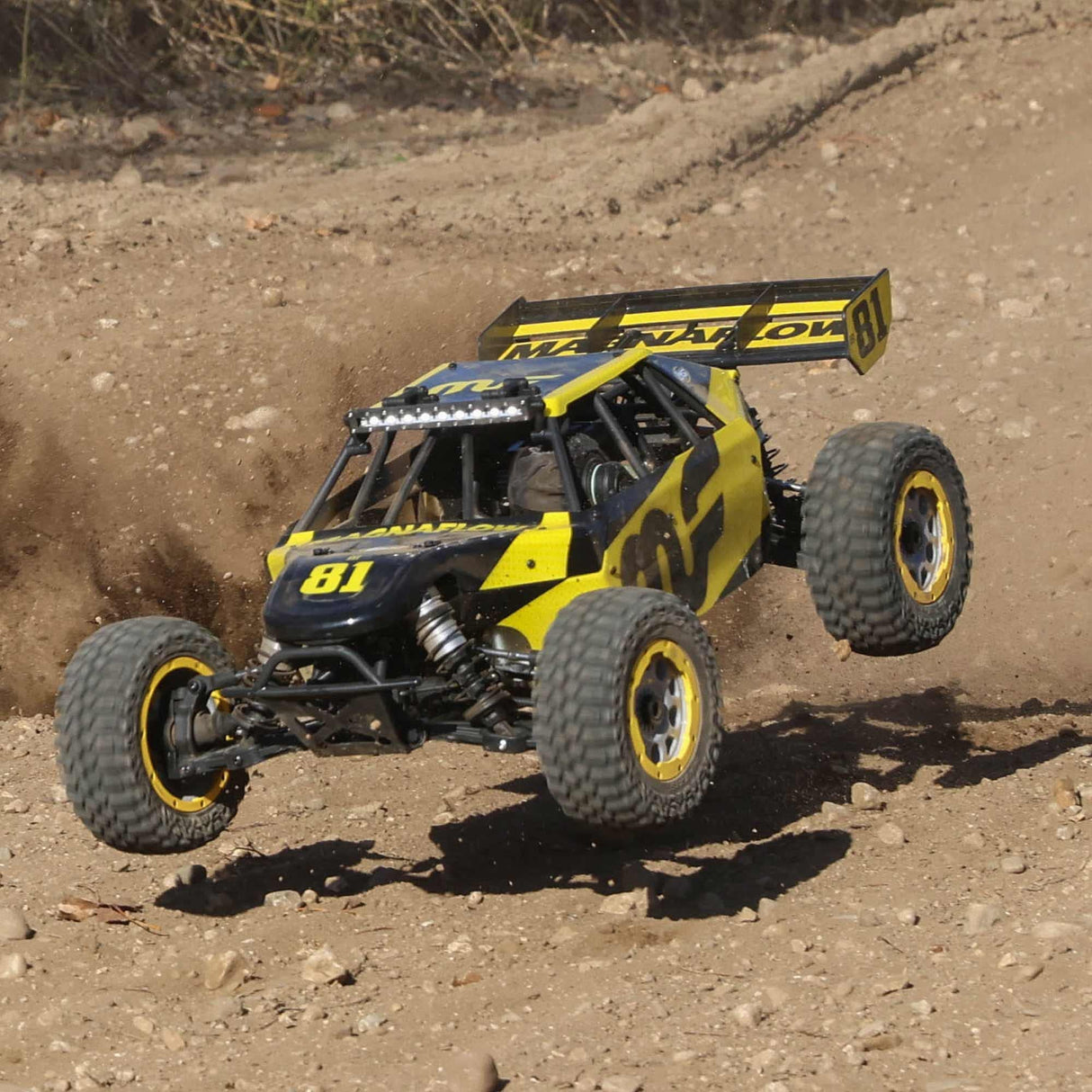 LOSI DBXL 2.0: 1/5 4wd Gas Buggy RTR - MAGNAFLOW