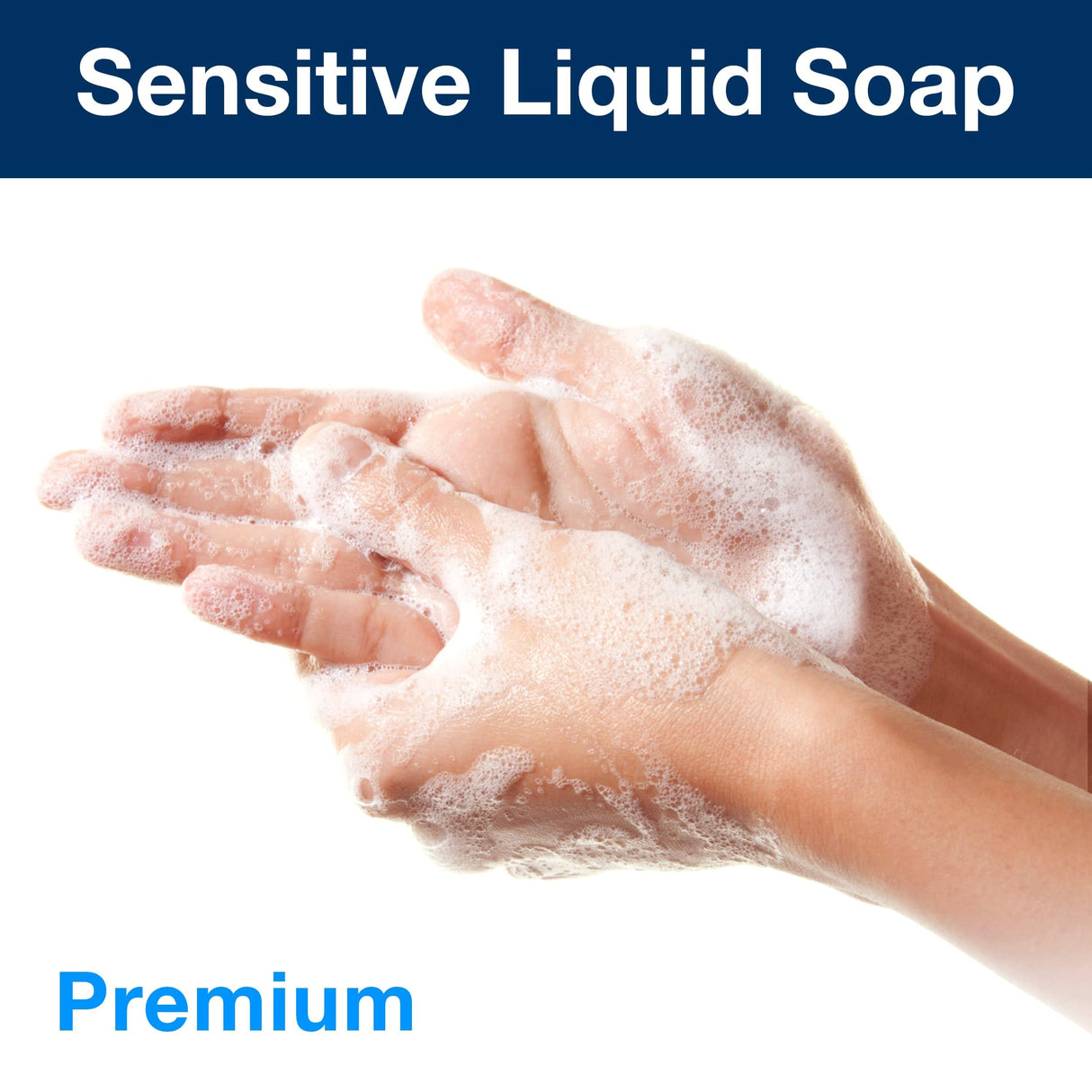 TORK S1 PREM SOAP LIQUID EXTRA MILD PK6