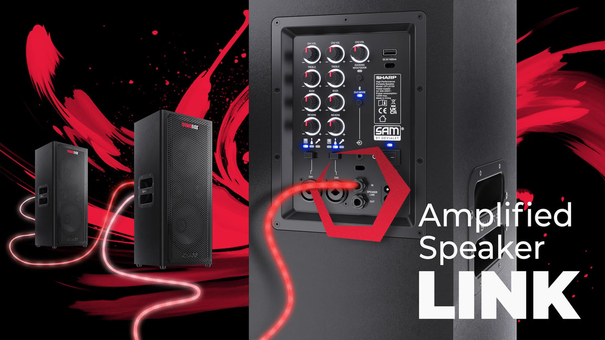 Sharp CP-LS100 Altavoz portatil de Alto Rendimiento, 120W RMS, 105dB, Carcasa de Madera, bateria Litio Intercambiable, 10 Horas (hasta), Bluetooth, Panel de 3 Canales TRS/XLR (x2), Aux/Bluetooth