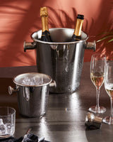 ALESSI 5052 - Cubitera para Botellas
