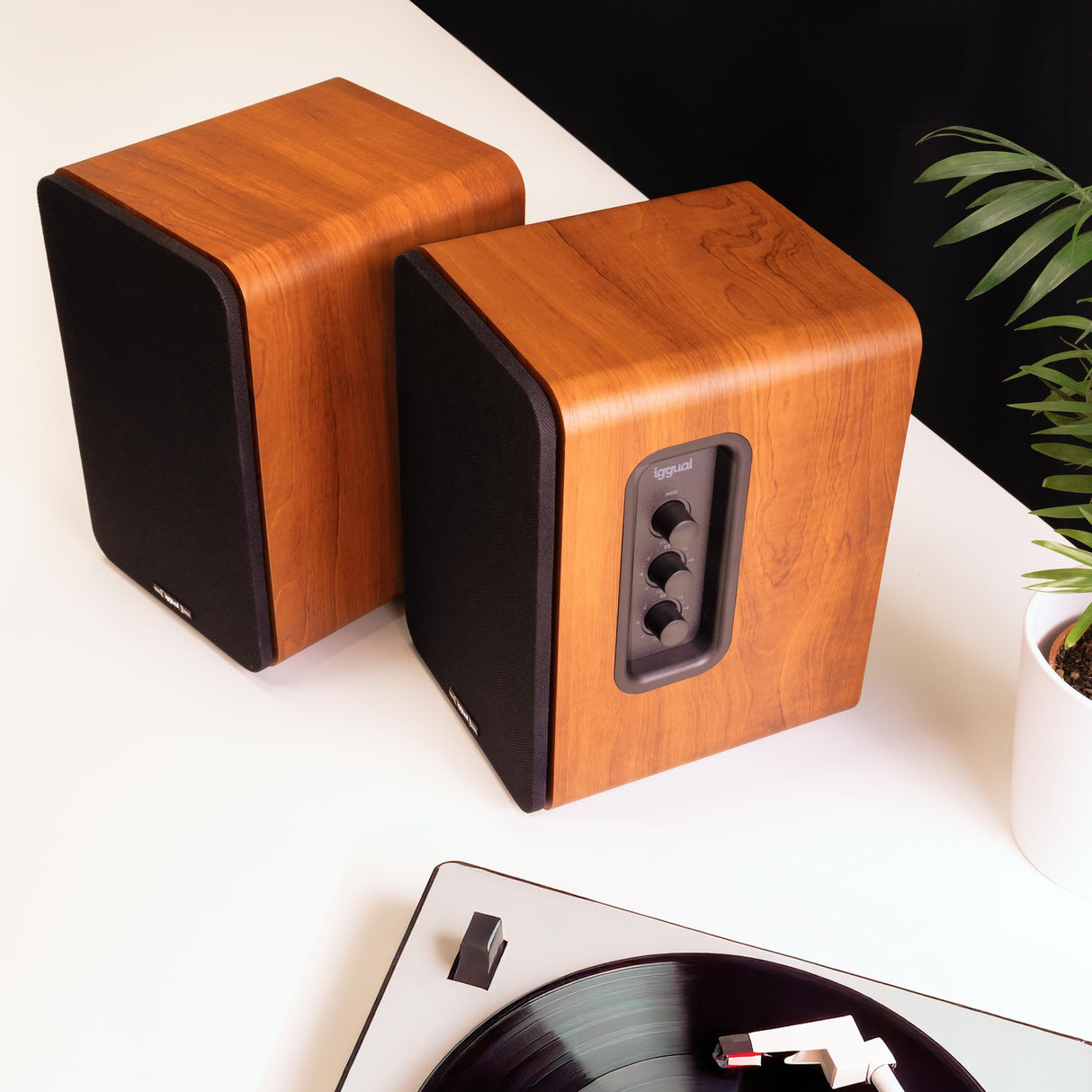 iggual- Altavoces Activos Bluetooth para Ordenador 50W - Altavoz de estantería 2.0. -Home Studio.- Conectividad: Bluetooth 5.3, USB, 2 x RCA (estéreo), HDMI ARC, Óptico Digital Mando a Distancia