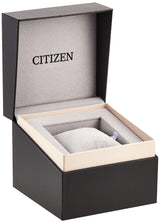 Citizen Watch NH8390-03XE, marrón