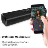 TechniSat AUDIOMASTER SL 450 - Barra de Sonido con Bluethooth (30 W, Puerto USB, HDMI, HDMI ARC, 2.0 Canales, AUXin, Entrada de Audio óptica, Mando a Distancia), Color Negro