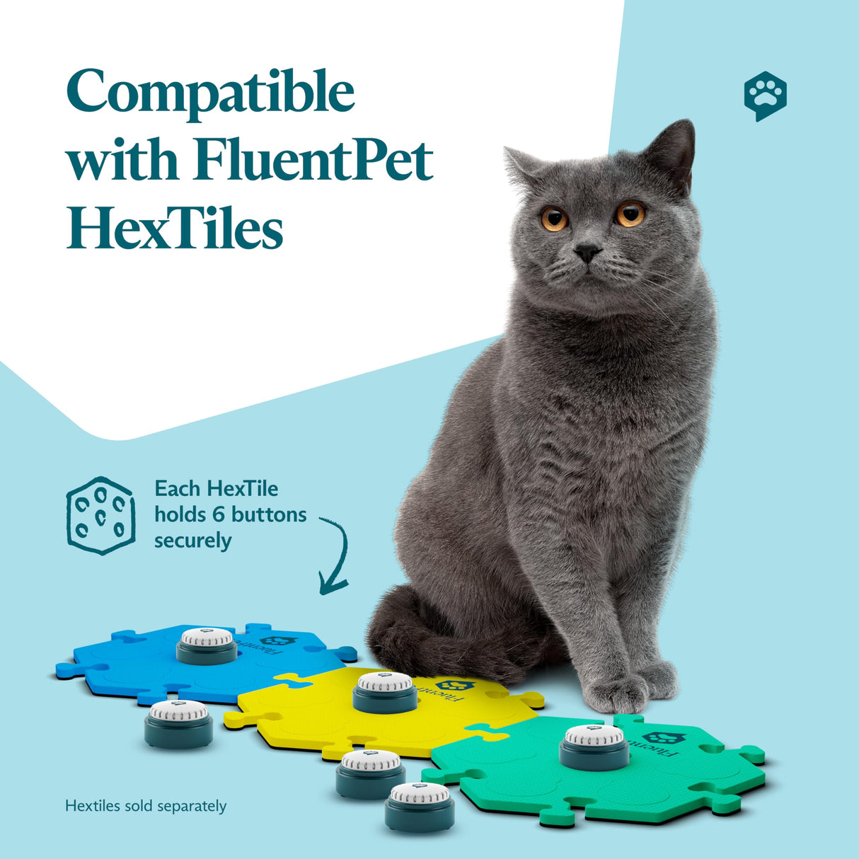 FluentPet Speak Up Buttons - Juego de botones de conversación para gatos y perros de última generación, paquete de 6 botones de comunicación fáciles de presionar para gatos y perros, botones grabables