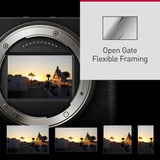 Panasonic Lumix DC-S9NE-R Cámara para Vlog con Fotograma Completo y Puerta Abierta sin Espejo, 24,2 MP, Vídeo 6K/4K, PDAF de 779 Puntos, WiFi 5 GHz, Rojo, con S-R1840 18-40mm S Lente De Cámara