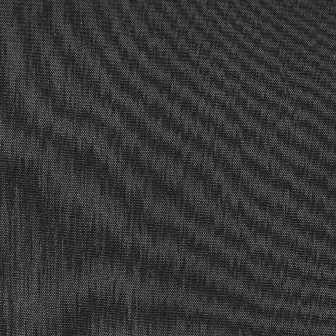 Hama Telón de Fondo fotográfico de 2,95 x 6 m (Fondo Plegable para Estudio fotográfico, 100% algodón, Pantalla Negra, Fondo para fotografía, vídeo y televisión), Color Negro