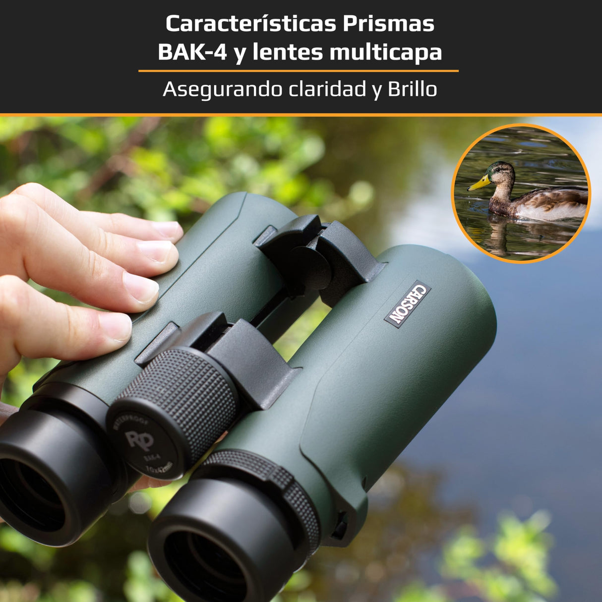 CARSON Serie RD Waterproof 10X50MM RD-050