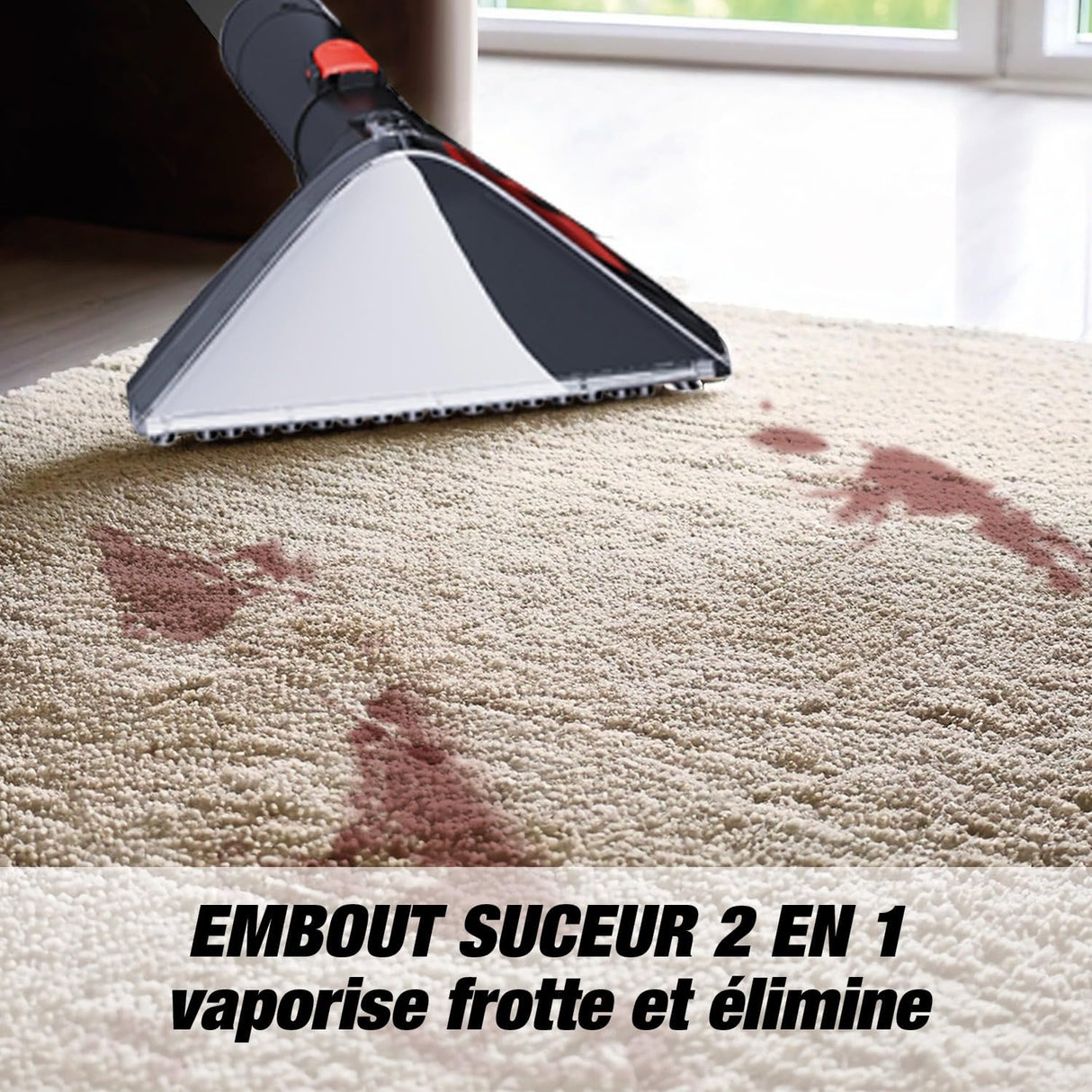 limpiador de alfombras TAN-8005R Techwood