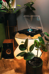 Audio-Technica LP60XBTBK Giradiscos Automático Estéreo Inalámbrico de Tracción por Correa Negro