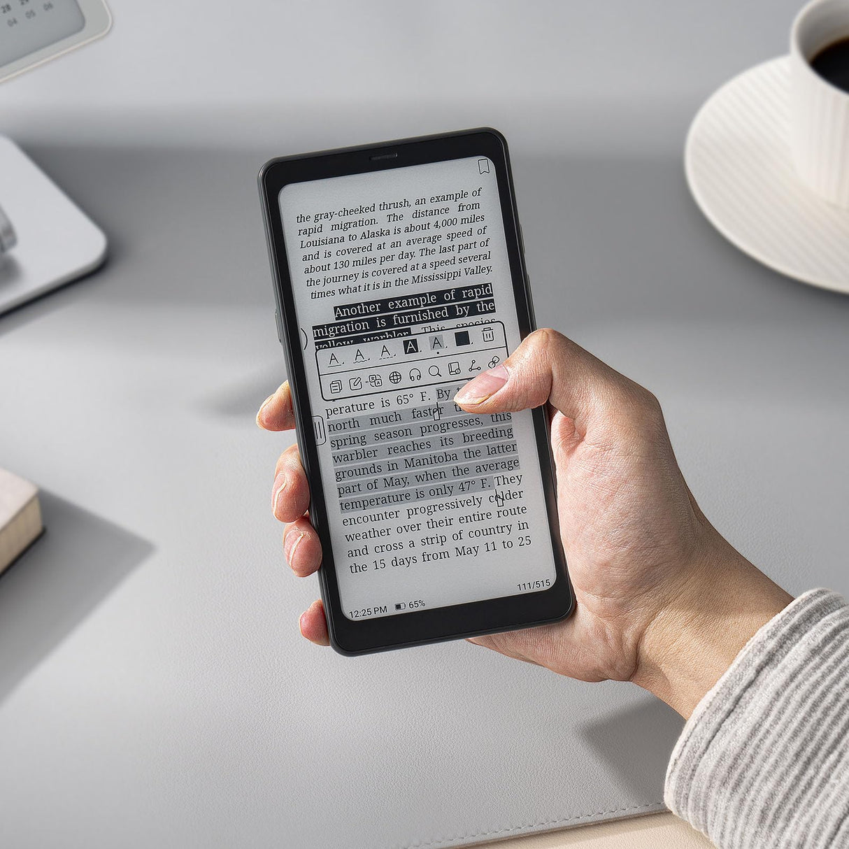 BOOX Palma 2 Tablet 6,13" Móvil ePapel 128 GB Android 13 E Ink 300 ppi