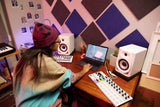 Pioneer DJ DM-50D Monitor de escritorio de 5" (blanco)