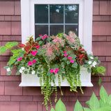 Mayne Fairfield ventana caja macetero