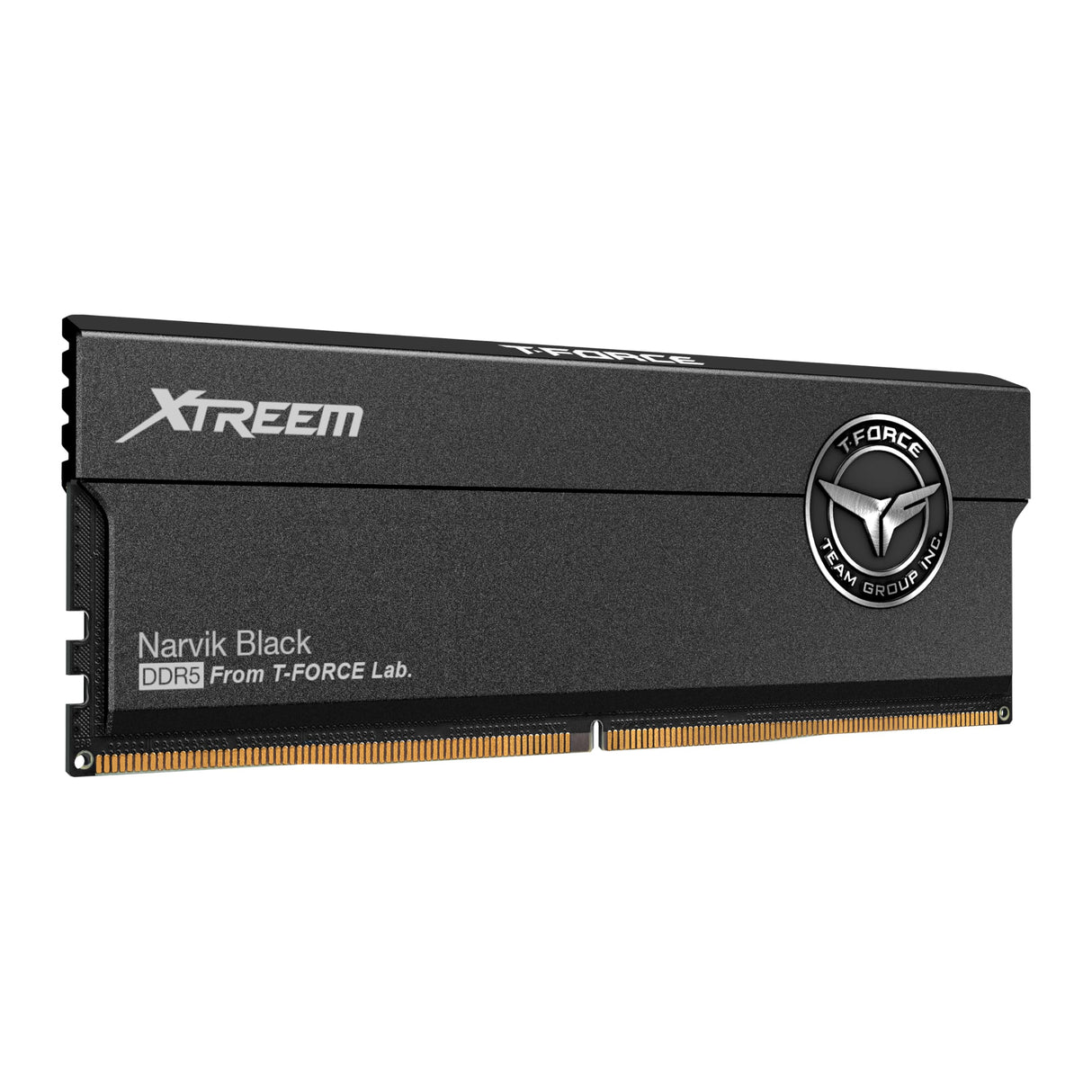 DIMM 32 GB DDR5-8000 (2 x 16 GB) Dual-Kit (Schwarz, FFXD532G8000HC38DDC01, XTREEM, Intel XMP, AMD Expo)