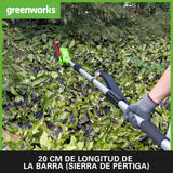 Greenworks G24PSH 2/1 Sierra y Cortasetos Pértiga a Batería con Correa Hombro, Barra Sierra 20 cm, Cortasetos 51 cm y Cuchillas Doble Acción SIN Batería 24 V ni Cargador, 3 Años de Garantía