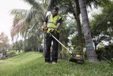 DeWalt DCM561P1-QW DCM561P1-QW-Desbrozadora sin escobillas XR 18V 5.0Ah 33cm, 18 V