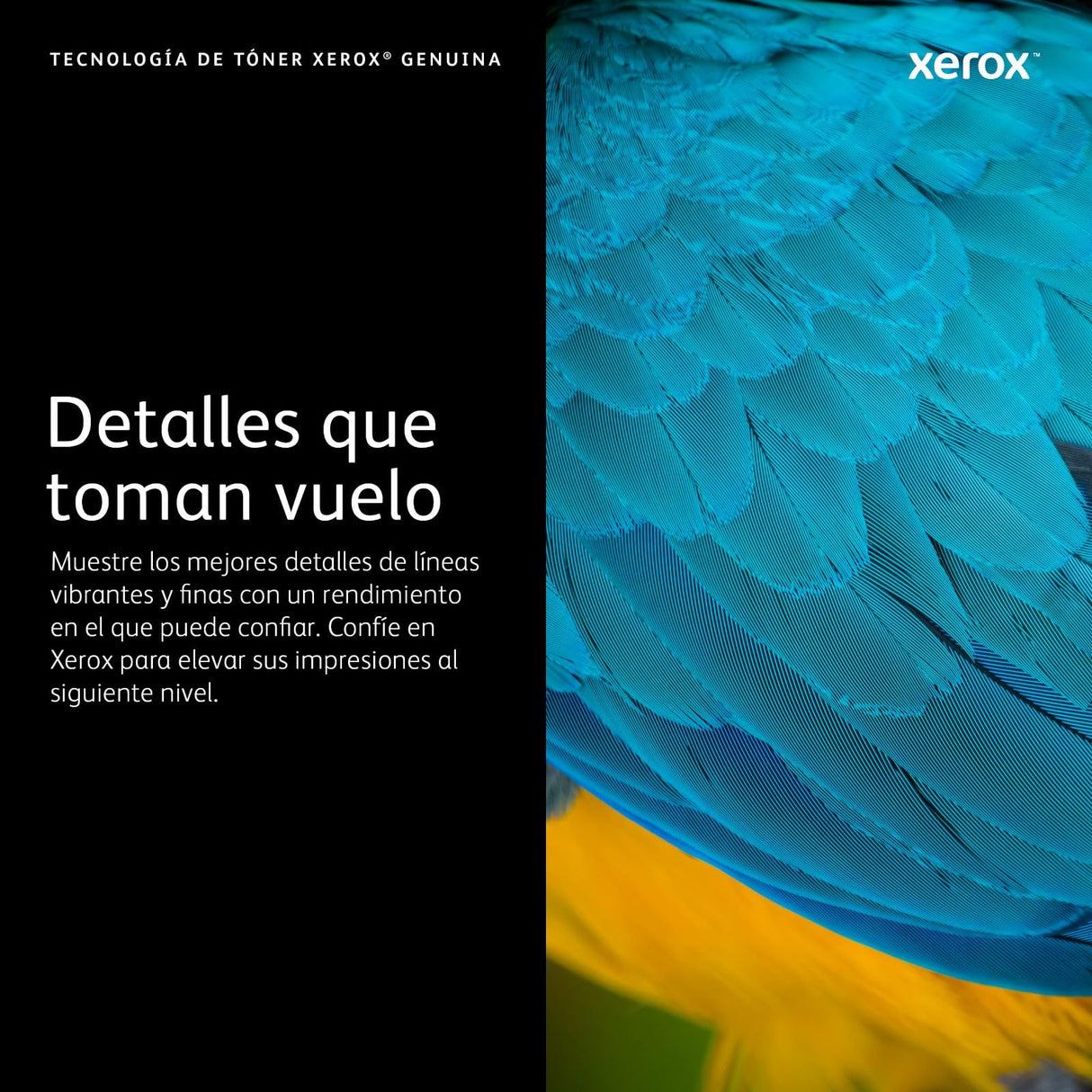 Xerox Original C230 / C235 Negro Cartucho De Tóner Alta Capacidad (3,000 Páginas) - 006R04391