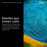 Xerox Original Versalink C400 / C405 Negro Cartucho De Tóner Estándar Capacidad (2,500 Páginas) - 106R03500
