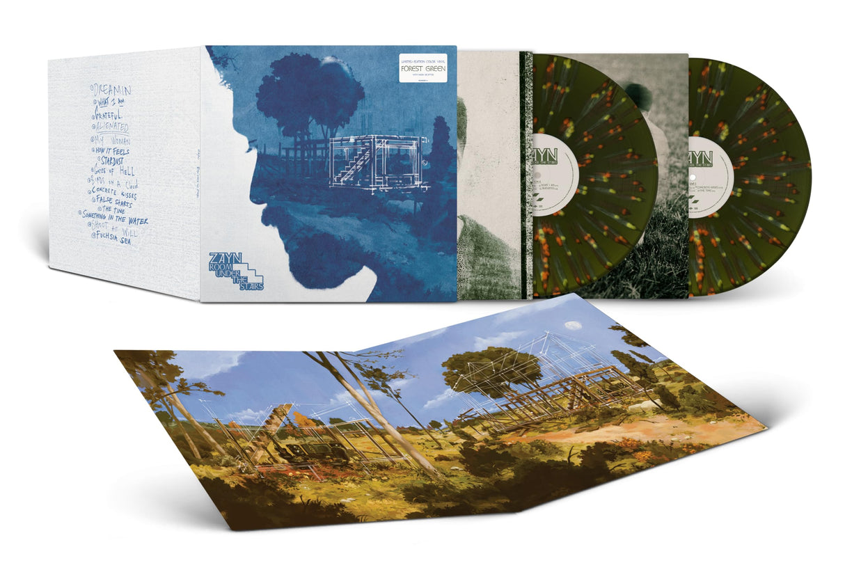 Room Under The Stairs (Edición limitada Color Verde Bosque) [Vinilo]