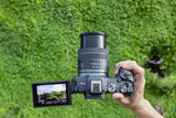 Canon Objetivo RF 24-50MM F4.5-6.3 IS STM - Lente Zoom Gran Angular, Ideal en Viajes, Retrato y Vídeo, Ligero, Motor STM silencioso, Estabilizador óptico 4.5 pasos, Compatible con sistema EOS R, Negro