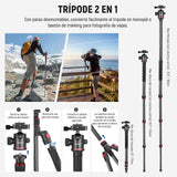 NEEWER 66"/168cm Trípode de Fibra Carbono para Cámara Cabeza de Bola Panorámica 360°,Placa Arca QR 1/4",Bolsa Portátil,Monopié Trípode Viaje Compacto Videocámara DSLR,Carga Máxima 26.5lb/12kg,N55C