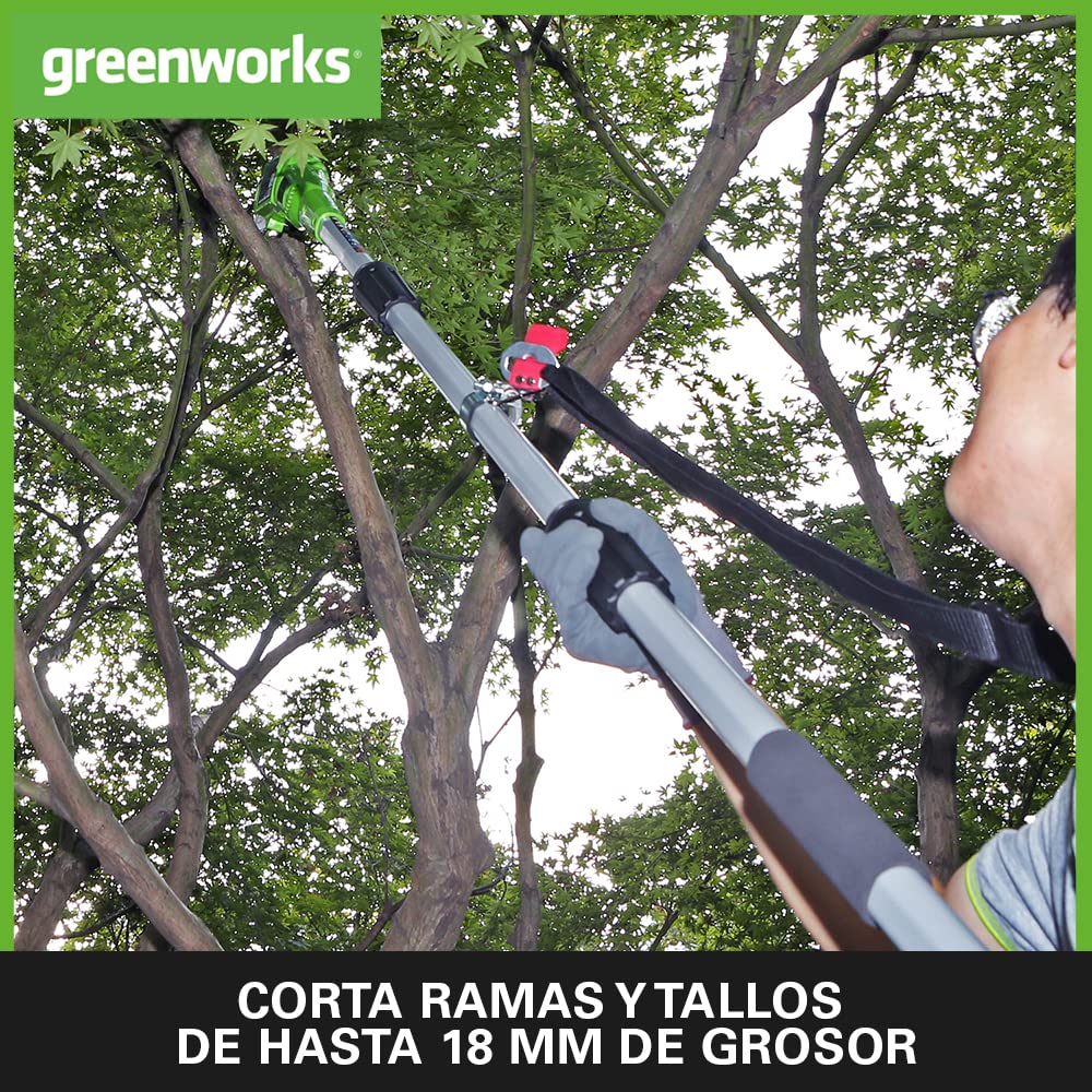 Greenworks G24PSH 2/1 Sierra y Cortasetos Pértiga a Batería con Correa Hombro, Barra Sierra 20 cm, Cortasetos 51 cm y Cuchillas Doble Acción SIN Batería 24 V ni Cargador, 3 Años de Garantía