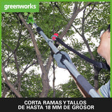 Greenworks G24PSH 2/1 Sierra y Cortasetos Pértiga a Batería con Correa Hombro, Barra Sierra 20 cm, Cortasetos 51 cm y Cuchillas Doble Acción SIN Batería 24 V ni Cargador, 3 Años de Garantía