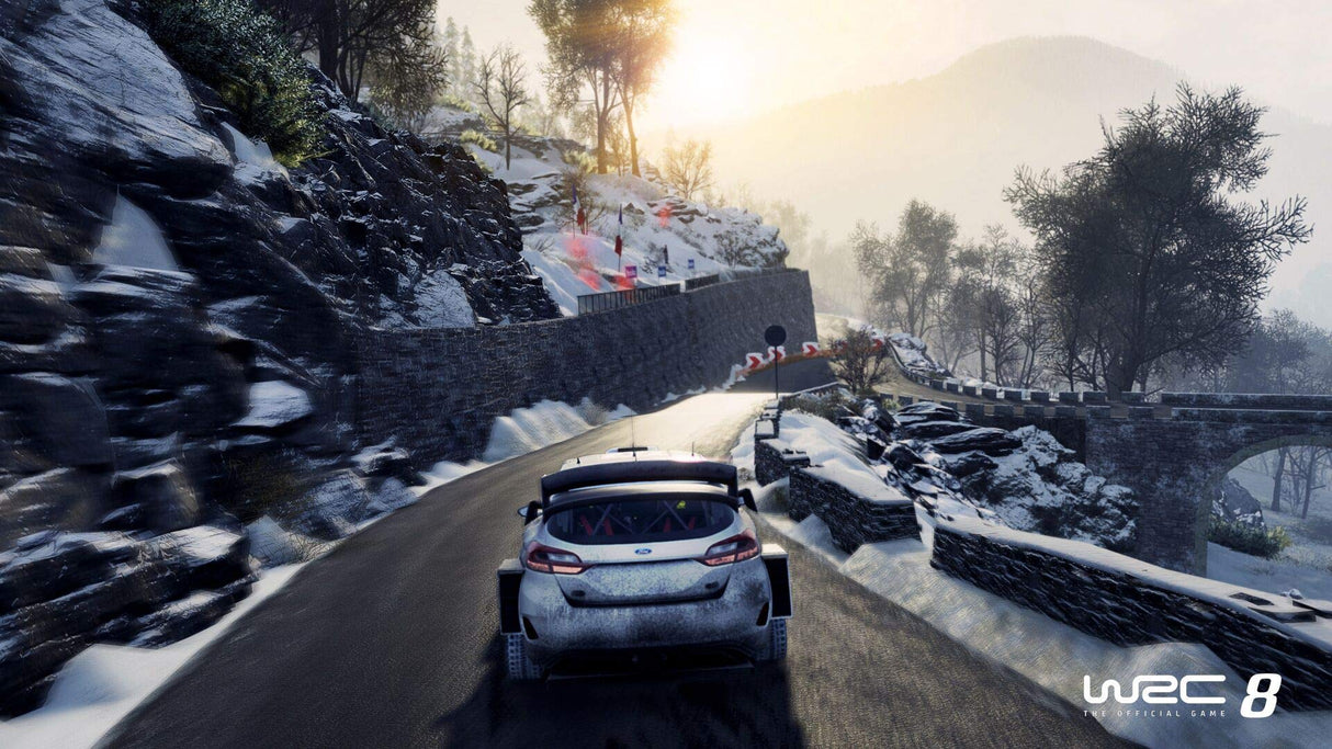 World Rally Championship 8 (WRC 8) - Edición Coleccionista [Versión italiana]
