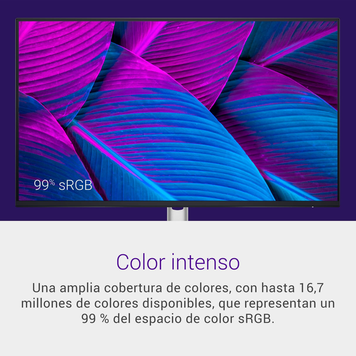 Dell P2425H 24" Full HD (1920x1080) Monitor, 100Hz, IPS, 5ms, 99% sRGB, USB-C, DisplayPort, HDMI, VGA, 4X USB, Negro