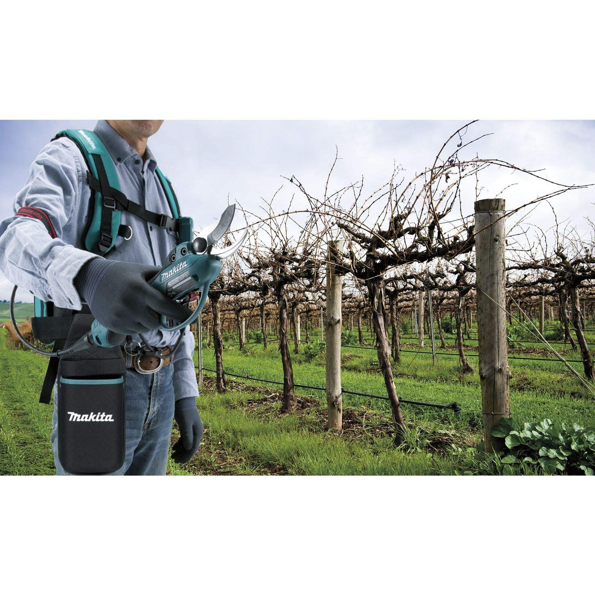 MAKITA DUP362Z - Tijera de poda 18vx2 lxt alto par