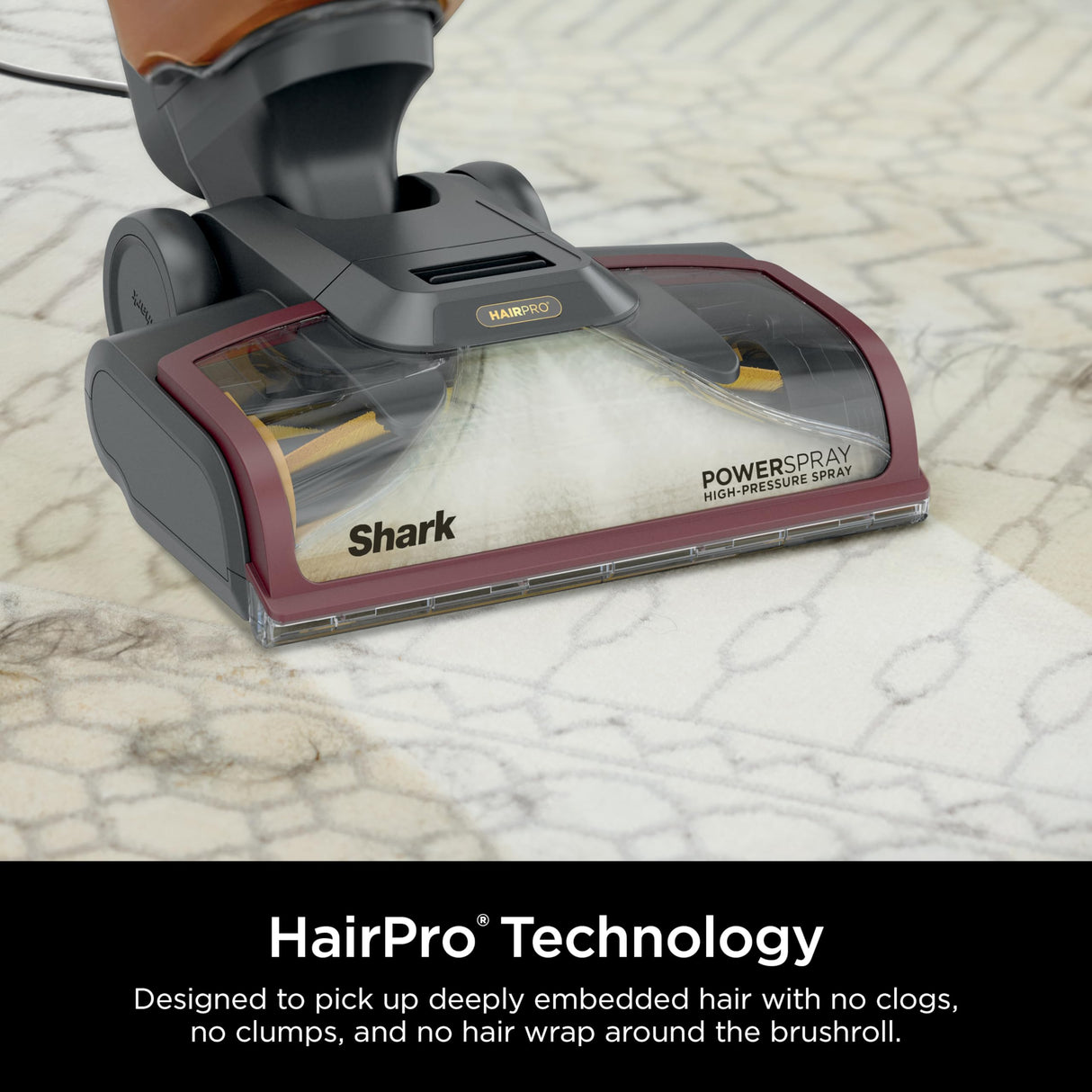 Shark CarpetXpert HairPro, limpiador de alfombras vertical, ligero, perfecto para mascotas, limpieza profunda, suciedad, suciedad y eliminación de olores, champú de alfombras, EX221BRN, magenta