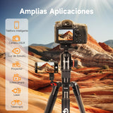 Rollei C6i Tripode Camara Nergo, 172cm Tripode Carbono Fotografia de Viaje Portátil con Cabezal Esférico de 360° Camera Tripod para Sony Canon Nikon Trípode Móvil con Soporte para Teléfono