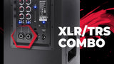 Sharp CP-LS100 Altavoz portatil de Alto Rendimiento, 120W RMS, 105dB, Carcasa de Madera, bateria Litio Intercambiable, 10 Horas (hasta), Bluetooth, Panel de 3 Canales TRS/XLR (x2), Aux/Bluetooth