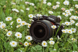 Samyang AF 14-24mm F2.8 Sony FE