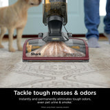 Shark CarpetXpert HairPro, limpiador de alfombras vertical, ligero, perfecto para mascotas, limpieza profunda, suciedad, suciedad y eliminación de olores, champú de alfombras, EX221BRN, magenta