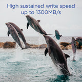 Integral 2TB CFexpress Memory Card Type B 2.0 12K and 8K Raw and 8K 120 FPS 1800MB/s Read 1700MB/s Write Speed 1300MB/s Sustained Write Speed Designed for Advanced Cinematic and DSLR Cameras