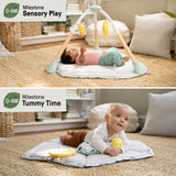 Ingenuity Tummy-to-Toes 6-in-1 Milestone Center Juguete para bebé, Multicolor, 0-48 Months (up 26lbs) (Kids2, Inc. 16904)